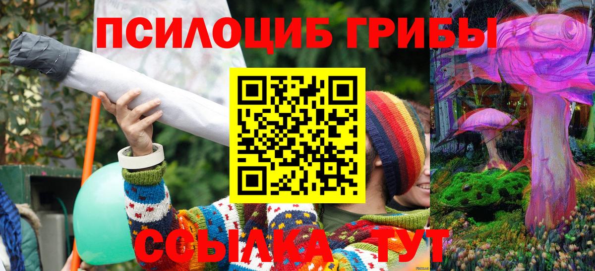 Псилоцибиновые грибы мухоморы Новый Уренгой