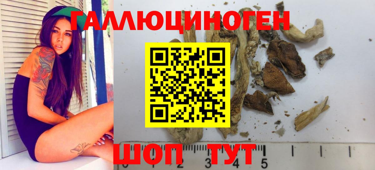 Новый Уренгой  Псилоцибиновые грибы мухоморы  Вход с VPN  Псилоцибиновые грибы мухоморы 